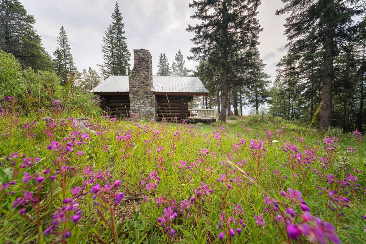 Storm Mountain Lodge & Cabins Castle Junction Esterno foto