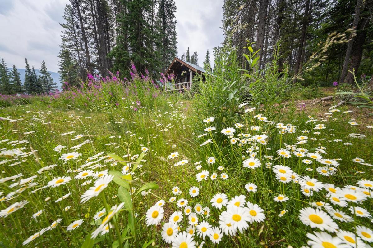 Storm Mountain Lodge & Cabins Castle Junction Esterno foto