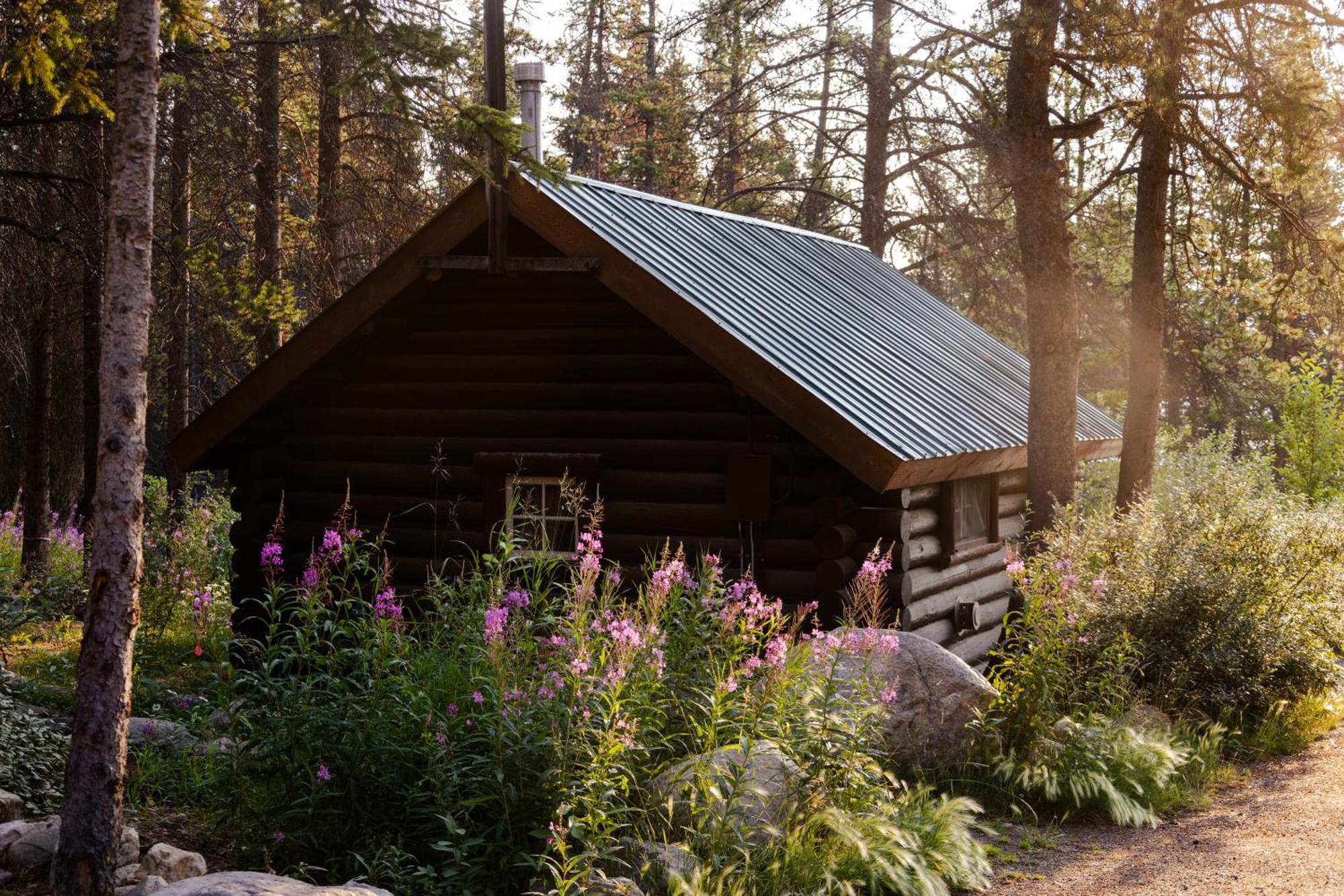 Storm Mountain Lodge & Cabins Castle Junction Esterno foto